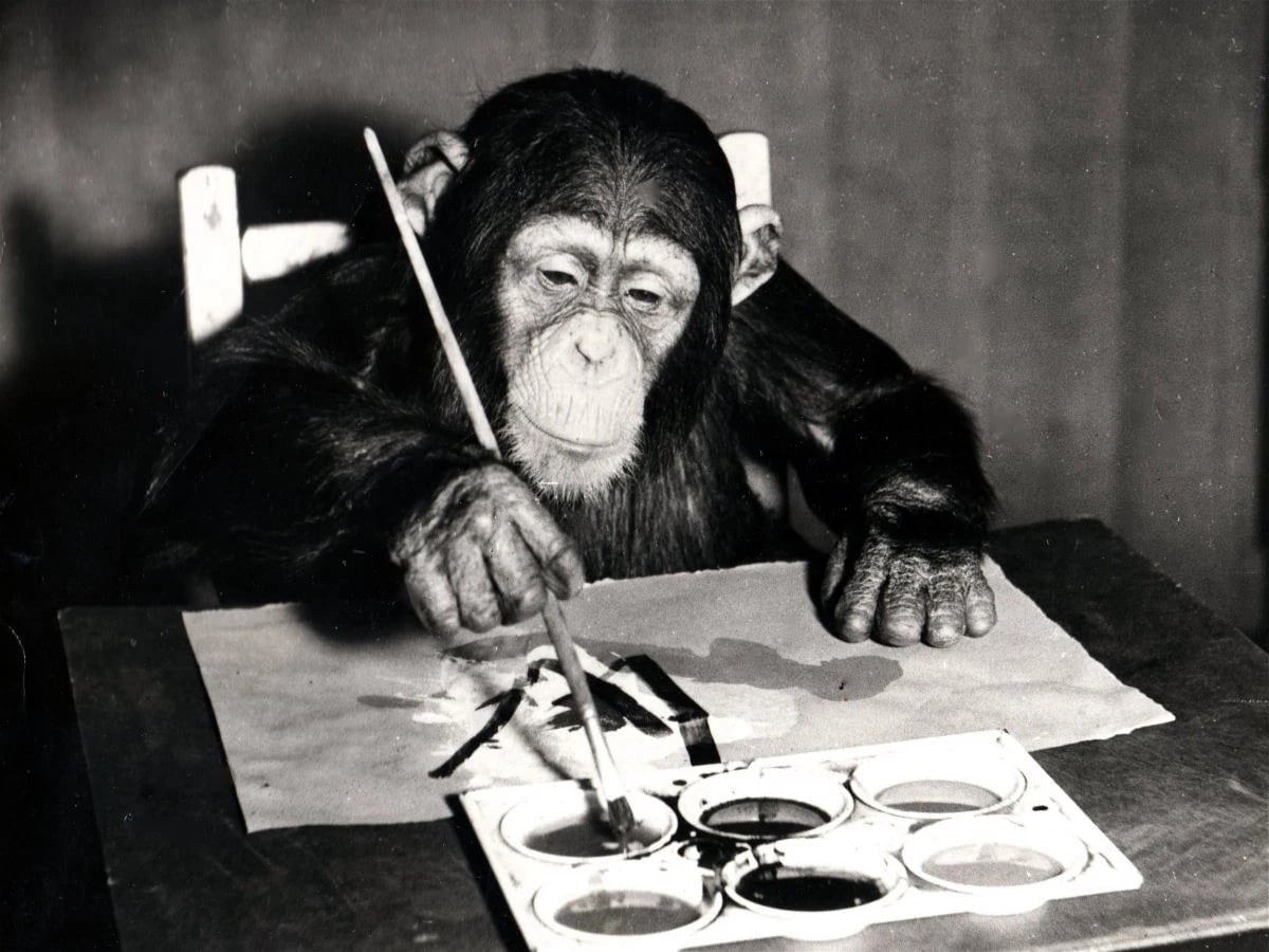 Macaco pintando